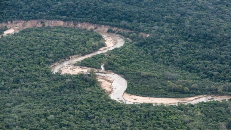 “No hay distinción entre derechos humanos y derechos de la naturaleza”. Entrevista con Marine Calmet