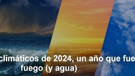 10 datos climáticos de 2024, y un año que fue fuego (y agua)