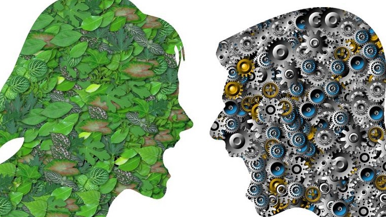 ¿Antropocentrismo contra ecocentrismo?