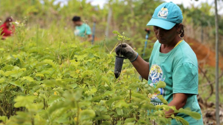 ¿Cómo afrontar realmente la crisis ambiental?