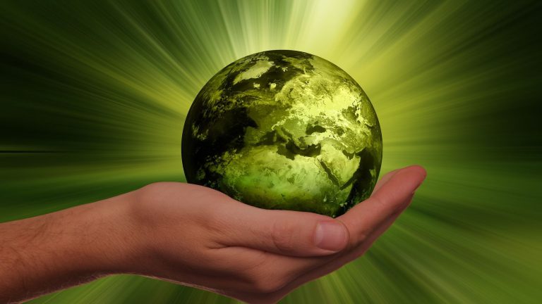 La administración de la creación según la ecología integral