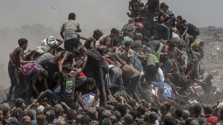Llamamiento en el Día Internacional de la Paz