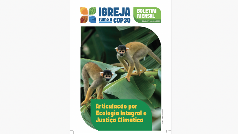 Boletim: Igreja rumo à COP30, “artiulação por uma ecologia integral e justiça climática”