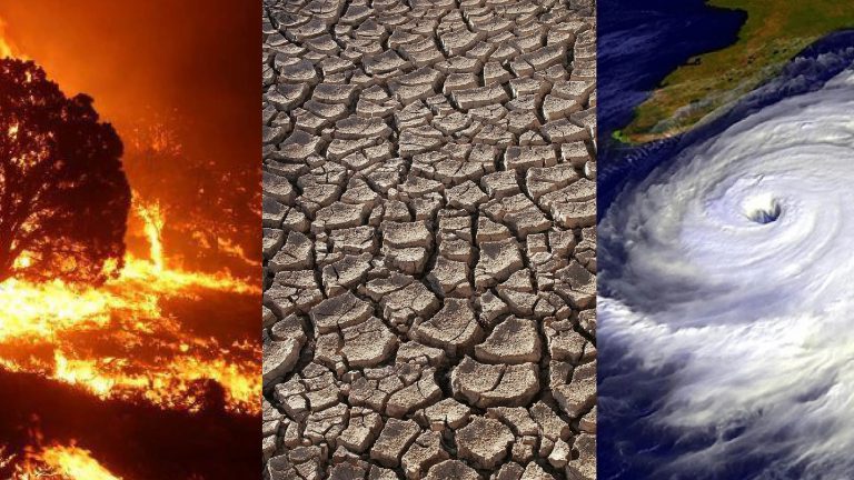 Día Internacional contra el Cambio Climático