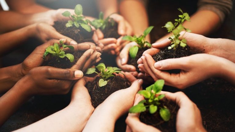 La educación ambiental, más allá del conservadurismo ingenuo