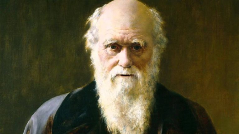 12 de febrero: día de Darwin