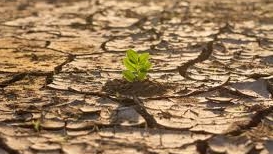 El compromiso por evitar la catástrofe ecológica