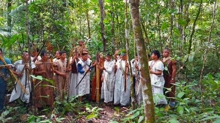 CIDH exige al Estado peruano proteger al pueblo indígena kakataibo ante amenazas contra la vida y el territorio
