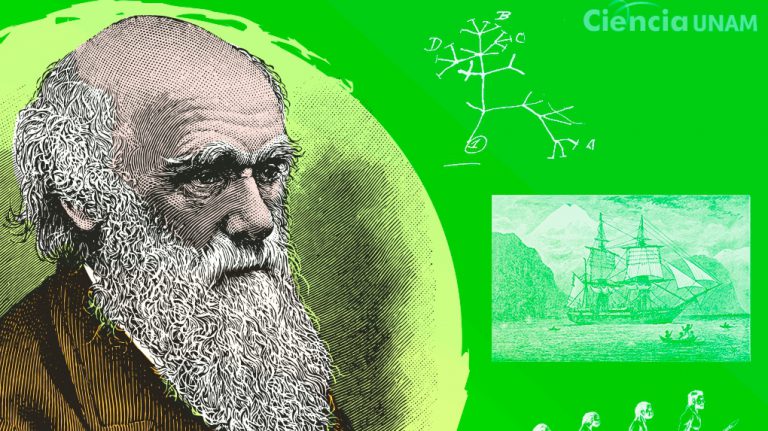 Familia, cartas, enfermedades: el lado personal de Charles Darwin