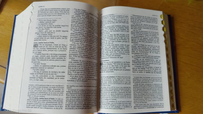 Porque amamos a Dios cumplimos sus mandamientos