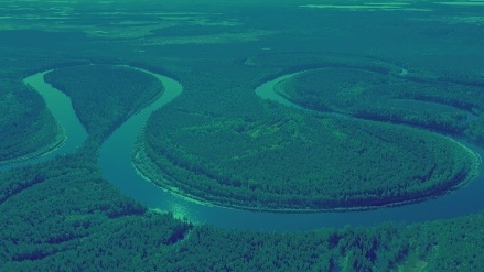 La naturaleza reclama sus derechos