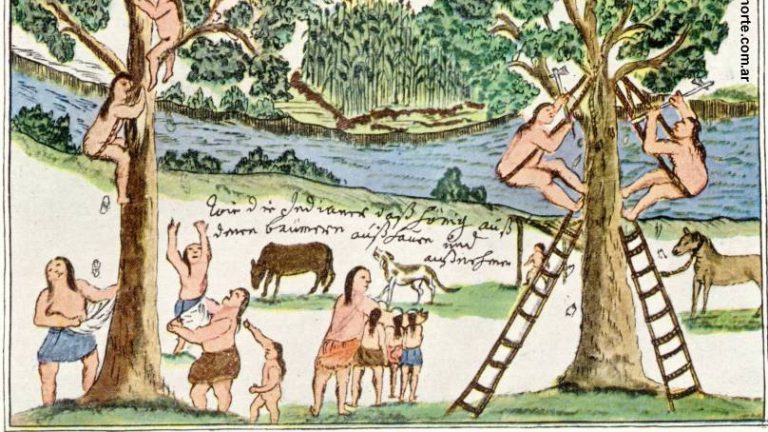 Marane´y, una construcción teológica del encuentro entre la Inmaculada y la Tierra sin Mal