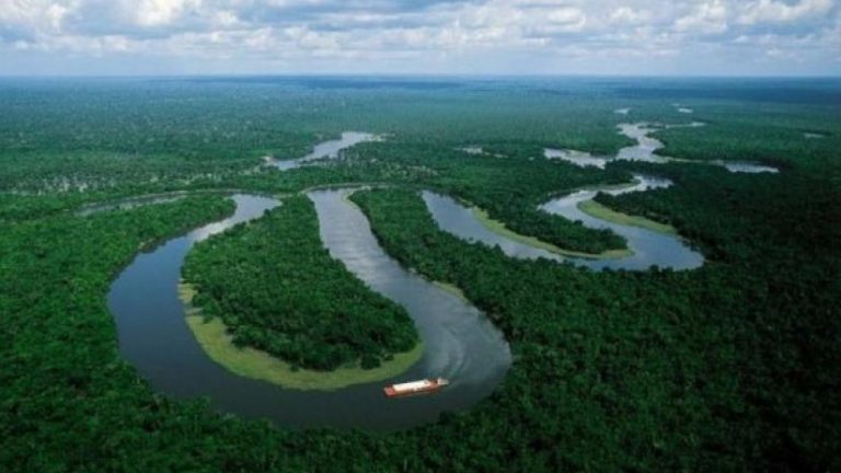 Un Sínodo para los pueblos indígenas: Cultura, Pastoral y Eucaristía en la Amazonía (Parte 2)
