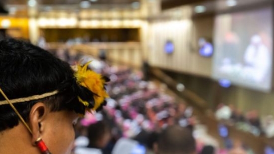 The road to an Amazonian Episcopal Conference. Implementing the conclusions of the Pan-amazonian Synod