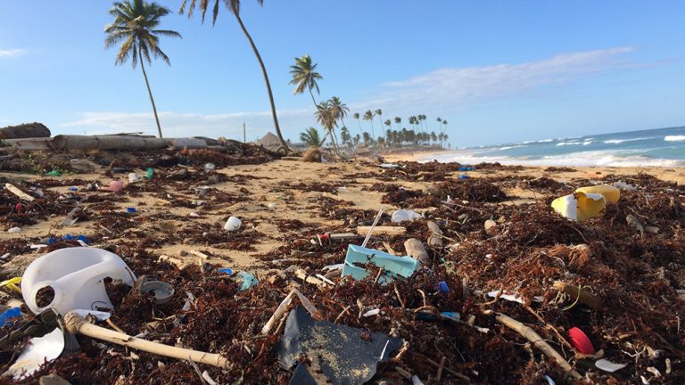 Pecado ecológico