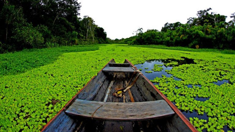 Contemplación de la encarnación en la Amazonía