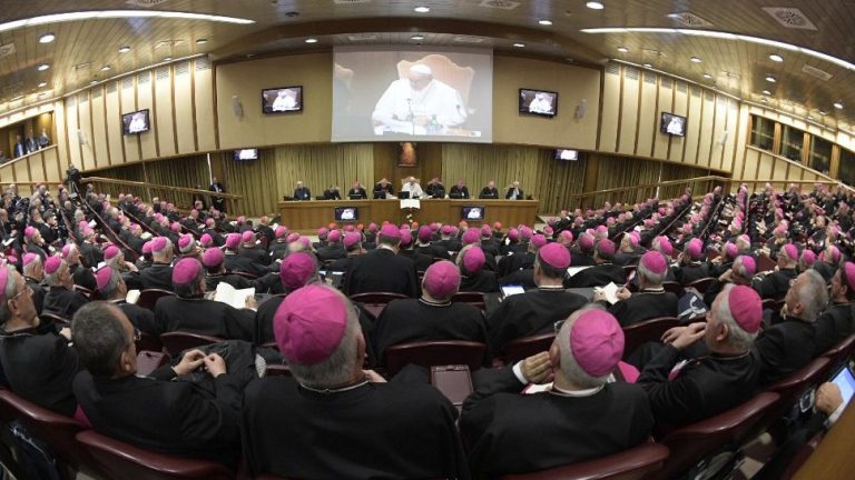 The post synod, the cry of mother earth and the prophetic spirit in the Amazon