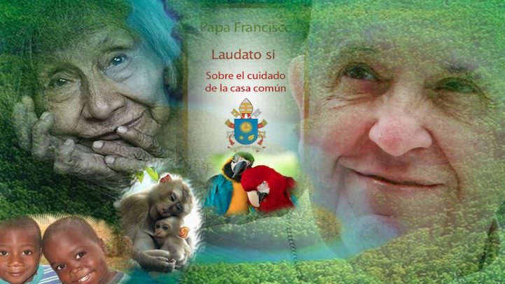 En el Quinto Aniversario de la Encíclica “Laudato Si” fortalezcamos nuestra Eco-espiritualidad