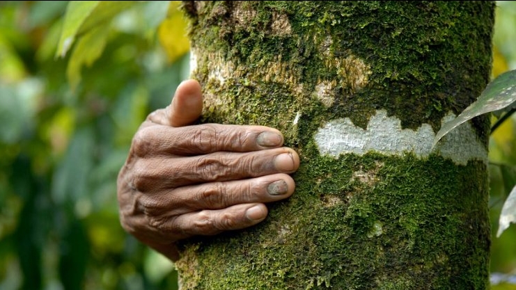 Journée de la terre 2021 : un espoir pour la défense de l’environnement en Amérique Latine