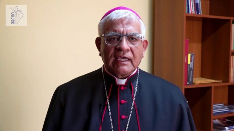Mensaje del Presidente del CELAM con motivo del Día Internacional de la Madre Tierra
