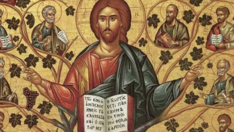 Jesús habla muy claro otra vez: Yo soy la Vid