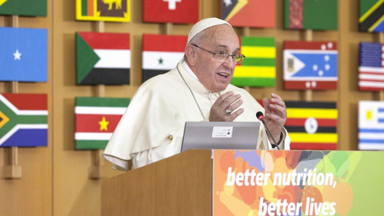 Mensaje del Papa Francisco a los participantes en la XLII conferencia de la FAO