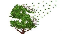 O neoliberalismo é contrário ao desenvolvimento sustentável