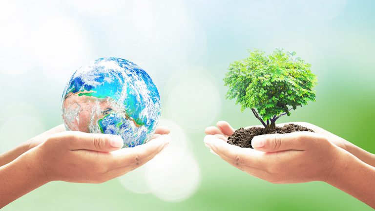 La Alianza de Redes Eclesiales para la Ecología Integral presenta documento de cara a la COP26