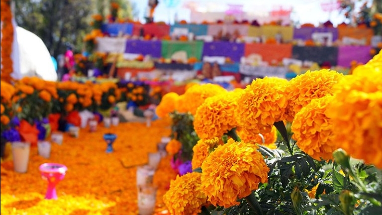 Conmemoración del día de los santos y de los difuntos: una llamada para nuestra propia vida