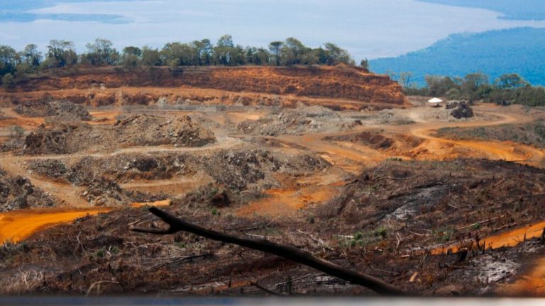 Guatemala: El Estor en extinción