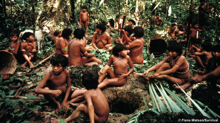 Minería ilegal, malaria y abandono del Gobierno amenazan la existencia del pueblo Yanomami