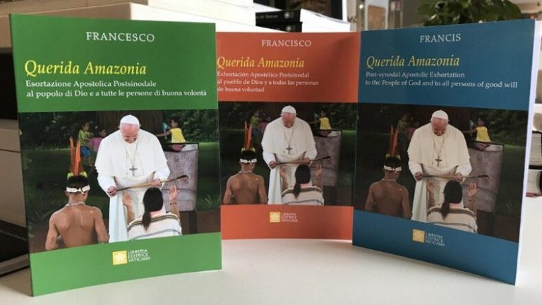 En el 2º aniversario de ‘Querida Amazonía’, el Celam reafirma su opción por los cuatro sueños del Papa Francisco