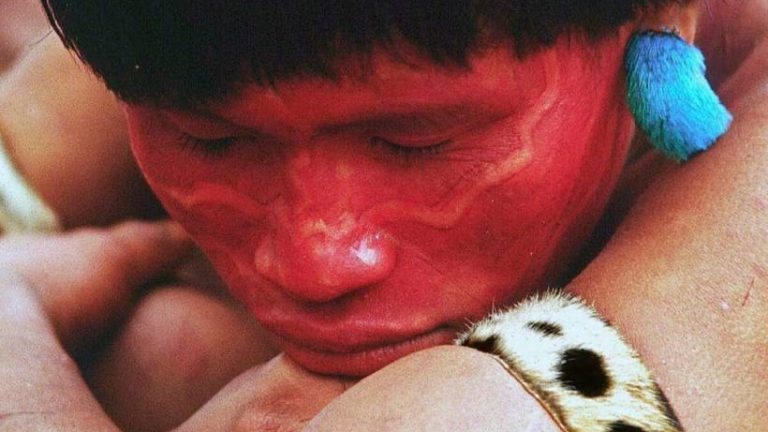 Amazonas: la sangre del día después