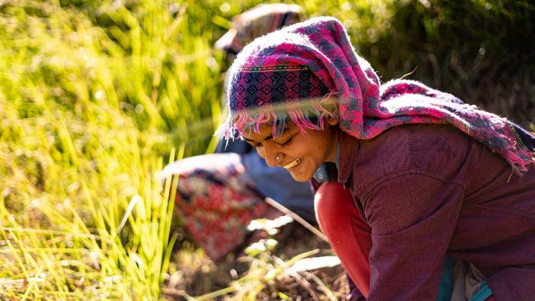 Mulheres trabalhadoras migrantes: desafios e pontos fortes