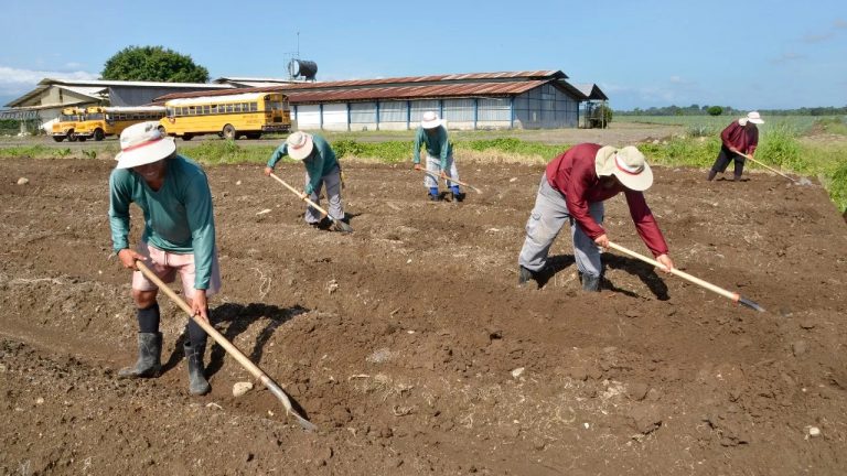 Los pecados del gobierno costarricense al pueblo trabajador