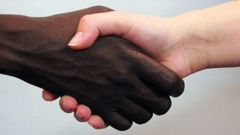 Desafío virtual No. 251: La Santa Sede: El racismo es un mal abominable que niega la dignidad humana