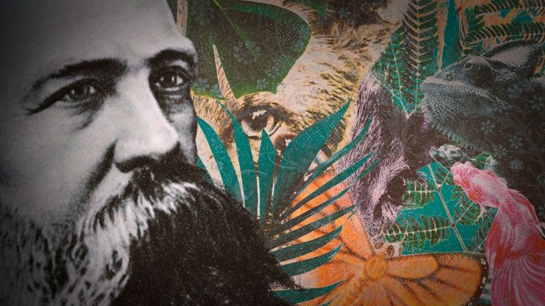 Ecología marxista, Oriente y Occidente: Joseph Needham y una visión no eurocéntrica de los orígenes de la civilización ecológica de China