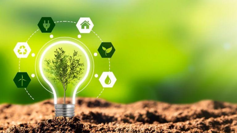 La sostenibilidad es ambigua e insuficiente (3)