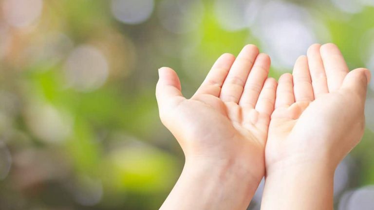 Ecoespiritualidad para el año 2024