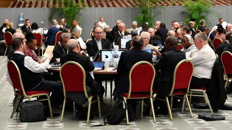 El Papa Francisco propone profundizar en 10 temas específicos del Sínodo de la sinodalidad