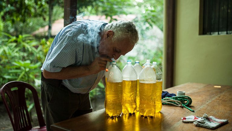 Las Plantas Maestras Amazónicas en Modo Contención: una compañía sutil y activa en el proceso de cambio