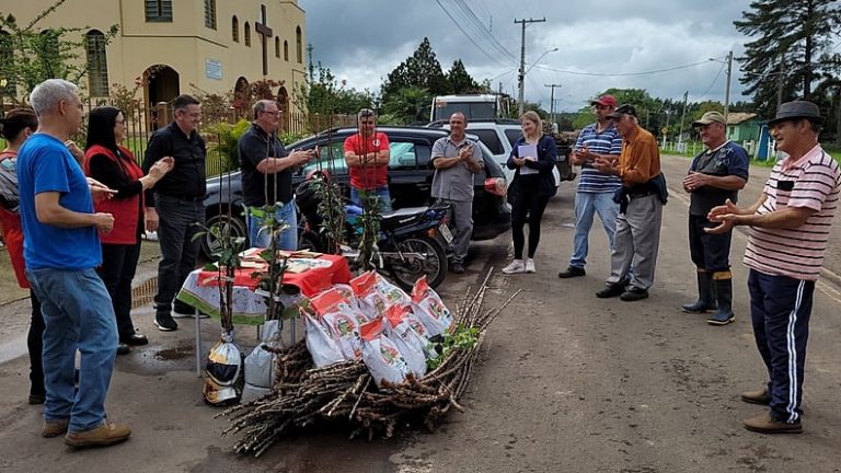 Diário da missão sementes de solidariedade