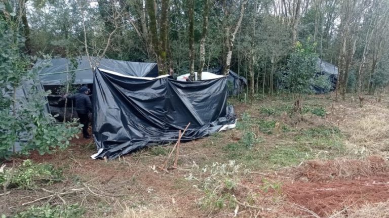 Comunidades Kaingang, Avá-Guaraní y Kaiowá son atacadas en tres estados este fin de semana