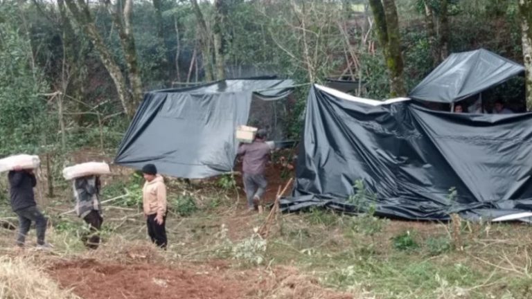 Ataques aos povos Ava Guarani, Guarani Kaiowá e Kaingang