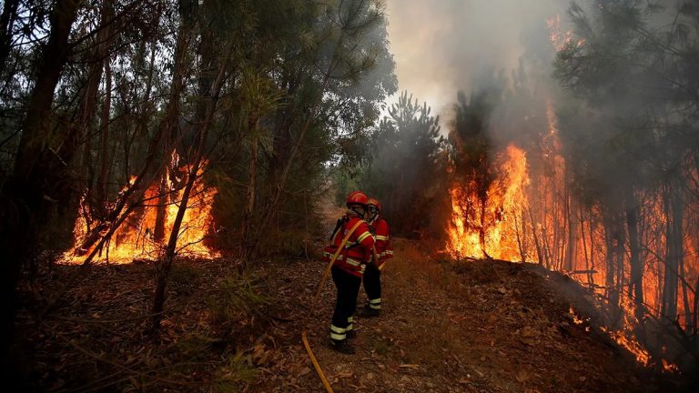 El drama de los incendios nos interpela