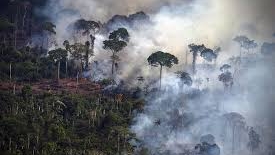 Brasil: La devastación ambiental ataca extensos territorios