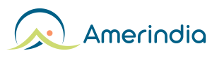 Amerindia en la red