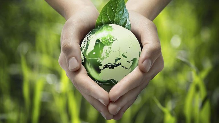 Economia de rapinagem e consciência ecológica (Ambiguidades de um tempo pascal – III)