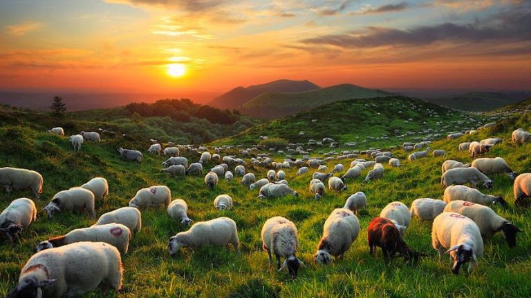 Os mansos herdarão a terra