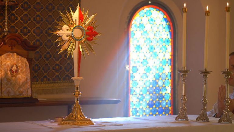 A pastoral coletiva – o modelo de Igreja (modelos de pastoral em torno à renovação do Vaticano II – 4)